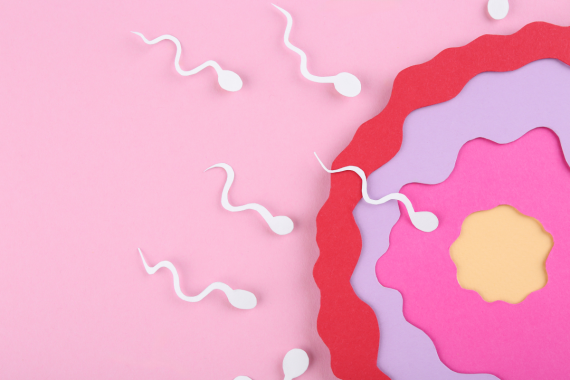 Optimizing Sperm Health: Expert Tips from Dr. Susanna J Park